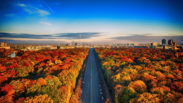 Autumn trees Berlin City Skyline