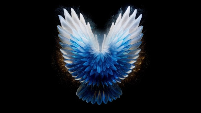 Angel wings AMOLED