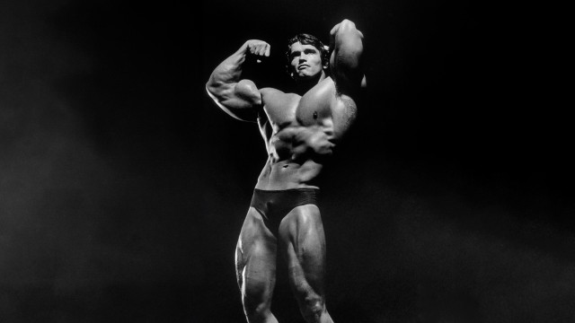Arnold Schwarzenegger Bodybuilder