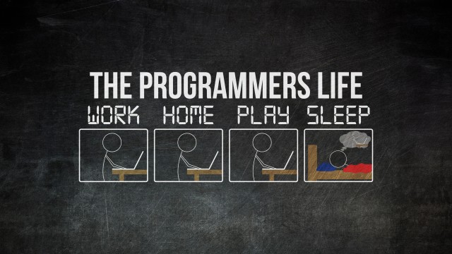 Programmer Life