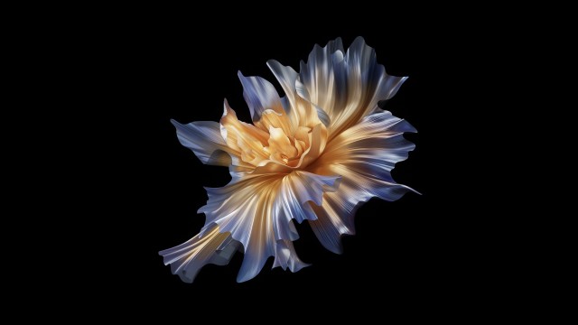 Abstract background Floral