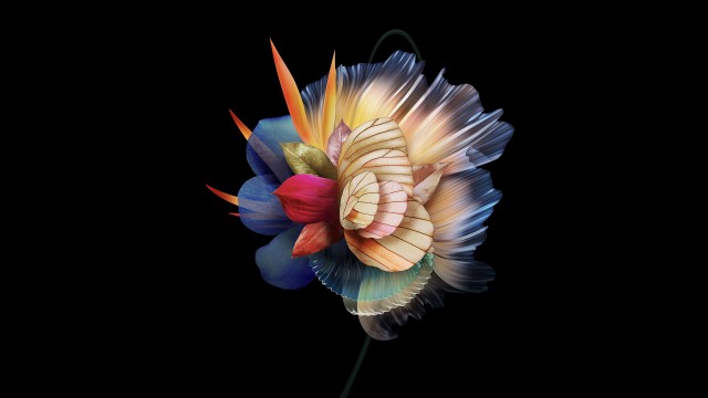 Abstract flower AMOLED