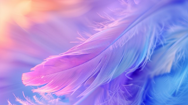 Aesthetic Feathers
