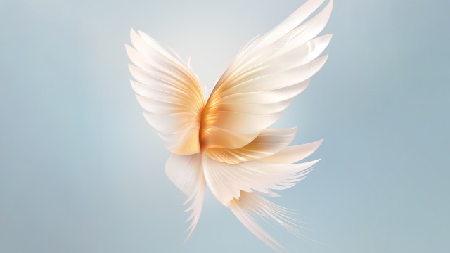 Angel wings Blue background