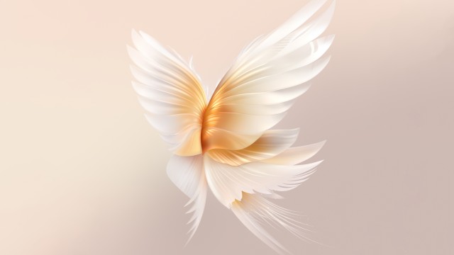 Angel wings Peach background