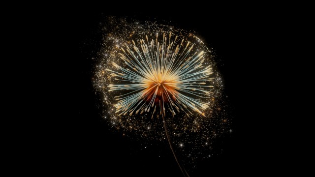 Dandelion flower Digital Art