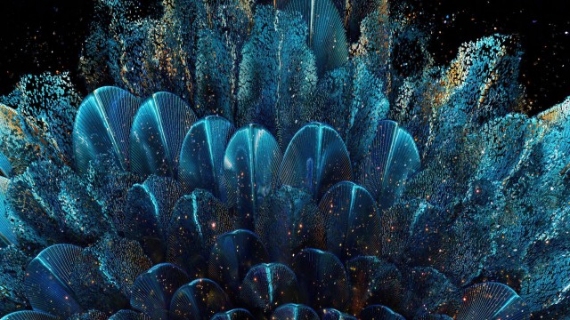 Digital flower Oppo Find N