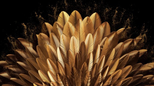 Golden Peacock feathers