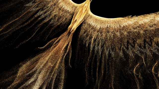 Golden Phoenix Fire bird