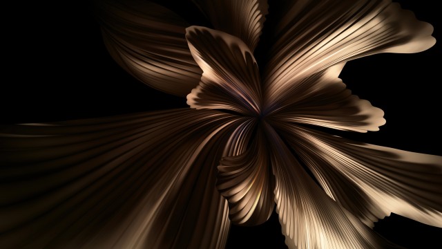 Huawei P50 Pocket Black background