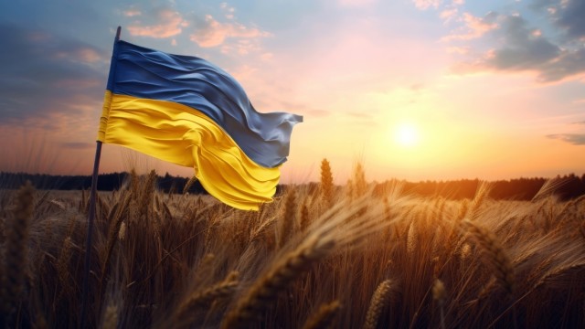 Flag of Ukraine 5K