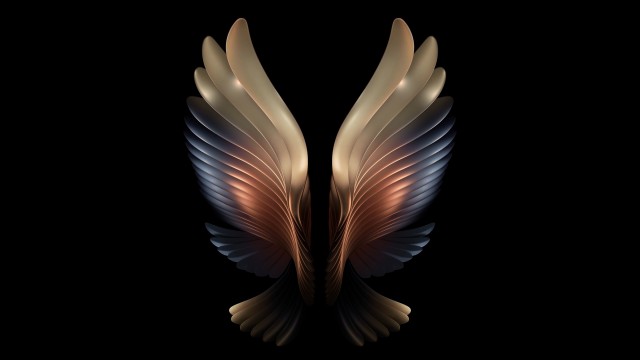 Samsung Galaxy W21 Samsung Galaxy Fold