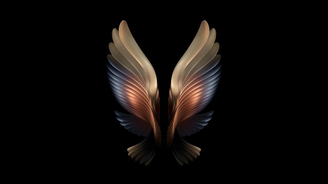 Samsung Galaxy W22 Wings