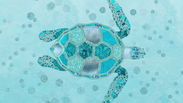Turtle Turquoise background