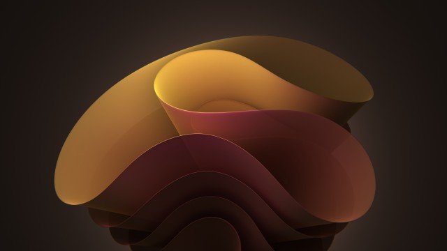 Windows 11 Bloom Dark background