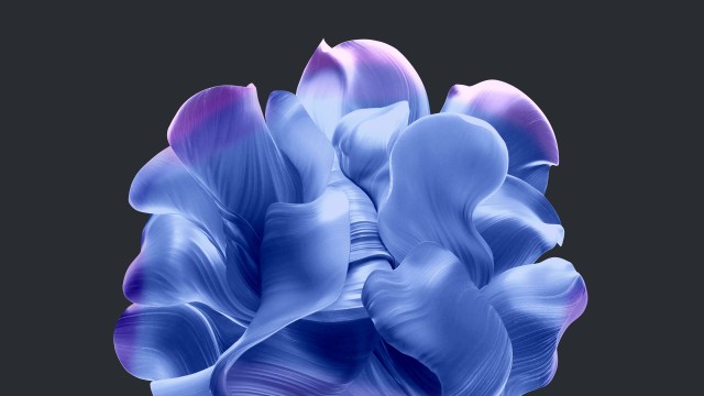 Windows 11 Dark theme