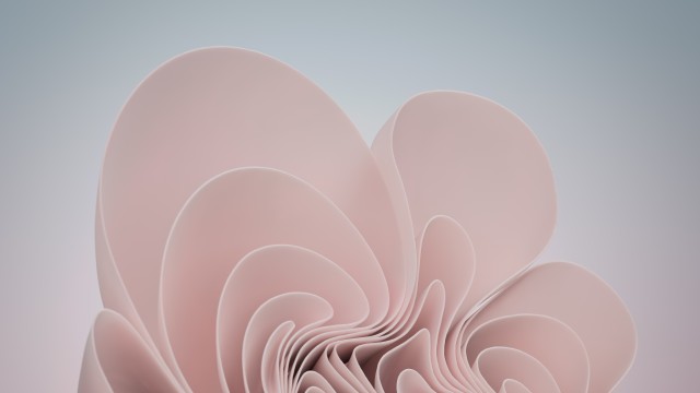 Windows 11 Light pink Abstract Stock