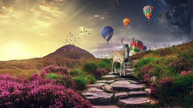 Deer Hot air balloons