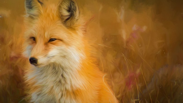 Fox Oil Painting