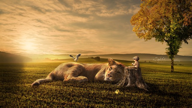 Play Time Cute baby boy