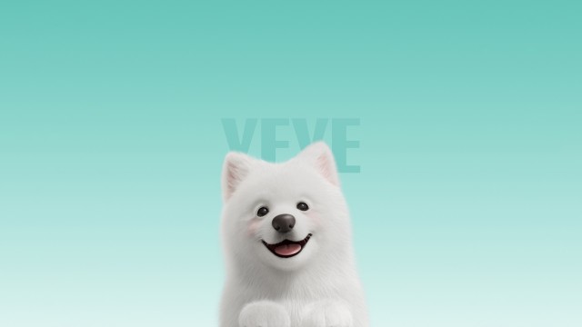 Samoyed Cute dog