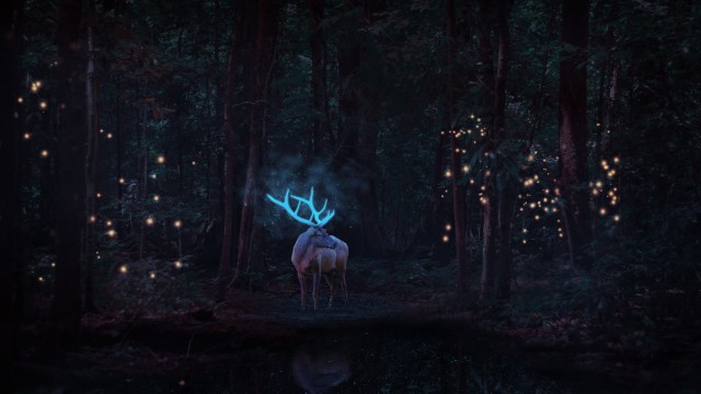 Stag Deer