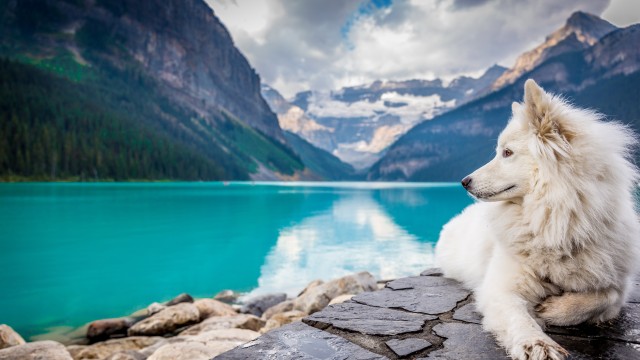 White Dog Mountains