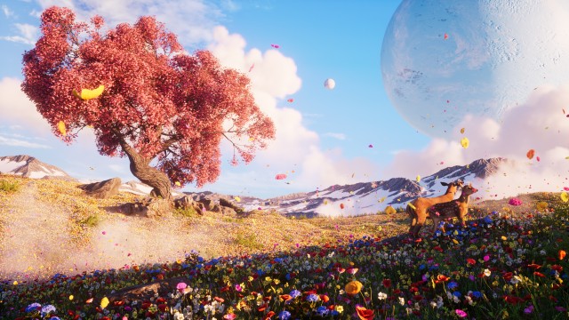 Wildflowers Landscape