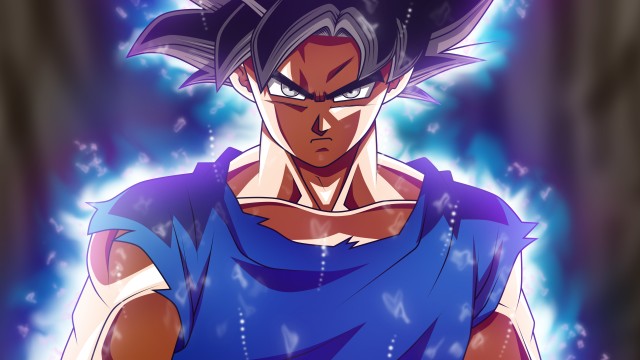 Goku Mastered Ultra Instinct Dragon Ball Super