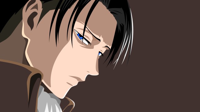 Levi Ackerman Captain Levi