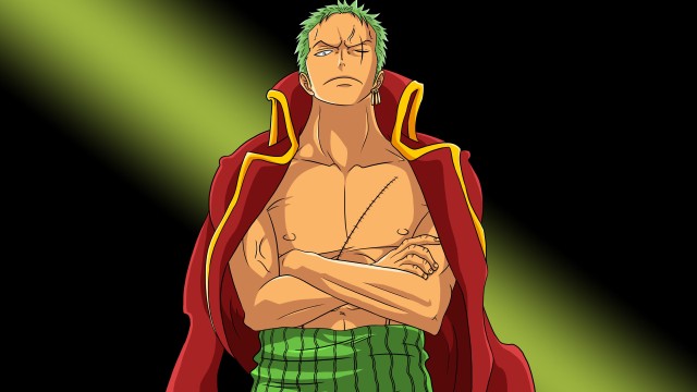 Roronoa Zoro Pirate Hunter