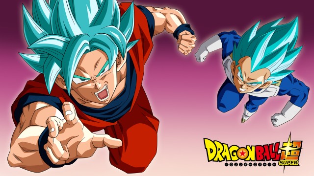 Super Saiyan Blue Goku & Vegeta Dragon Ball Super