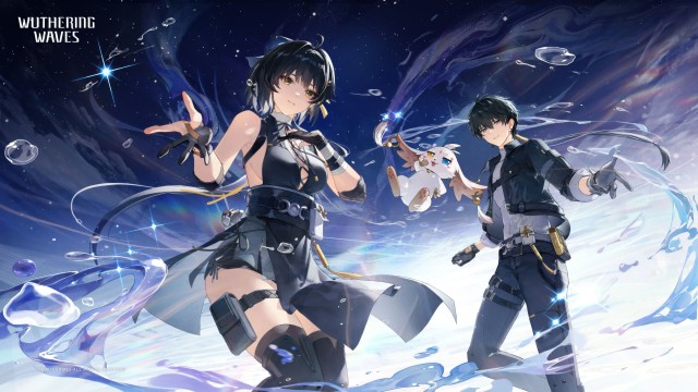 Rover Wuthering Waves