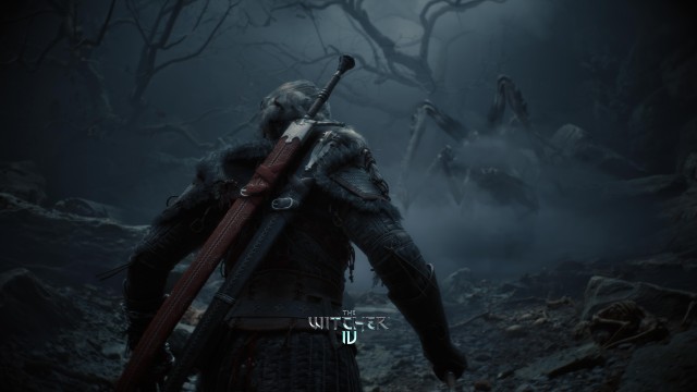 The Witcher IV Night