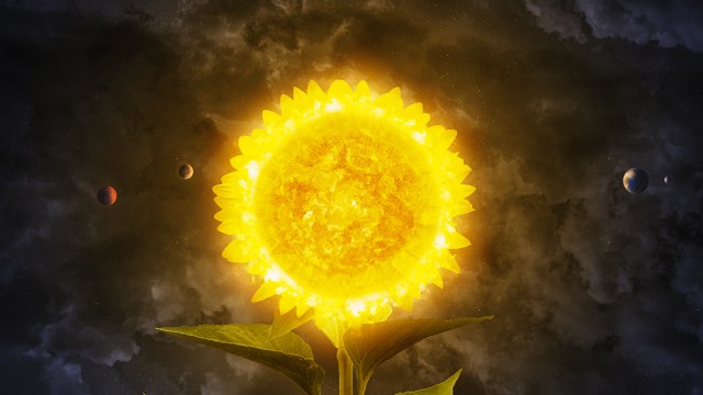 Solar system Sunflower