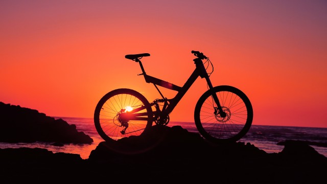 Bicycle Silhouette