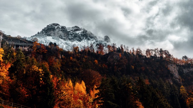 Alps Autumn
