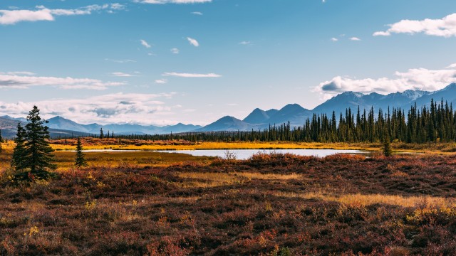 Autumn season Landscape