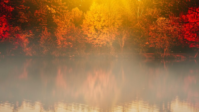 Autumn trees Body of Water