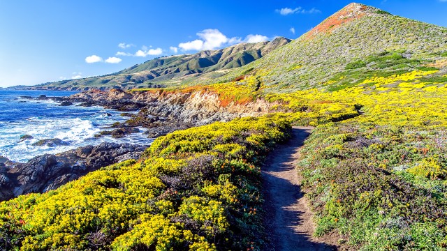 Big Sur Coastline