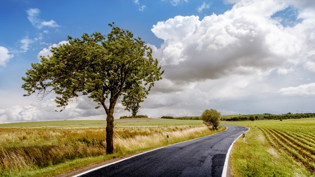 Countryside Lone tree