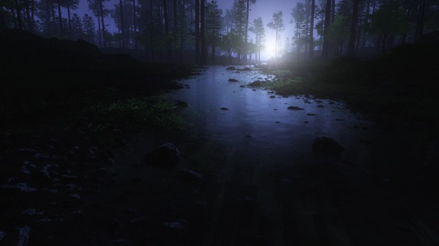 Dark Forest Water Stream