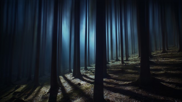 Dark Forest Woods