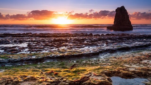 Davenport California