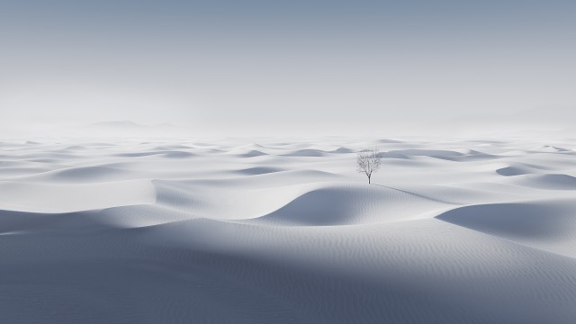 Desert White aesthetic