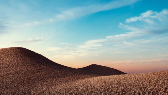 Dry fields Sunny day