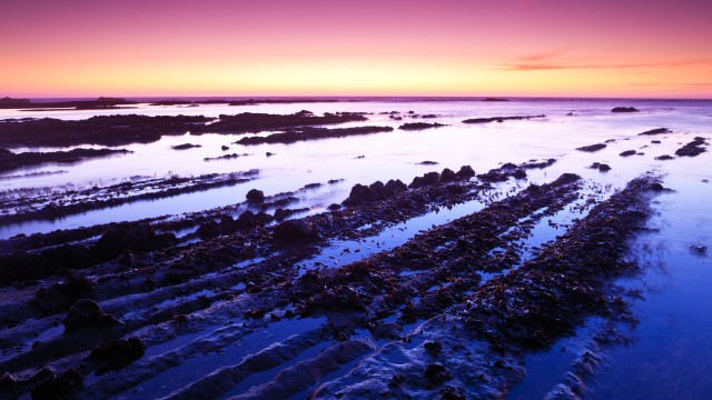 Fitzgerald marine reserve California