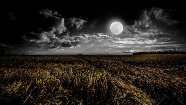 Full moon Grass field