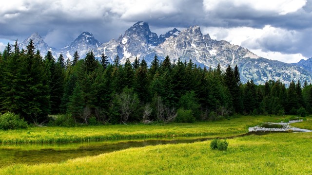 Grand Teton National Park Green Meadow