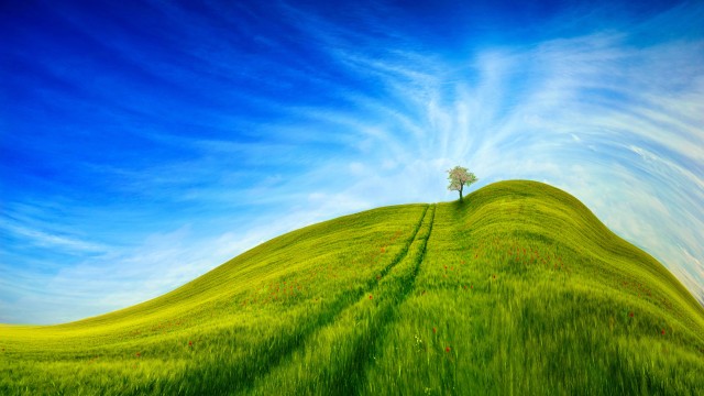 Grass Landscape Blue Sky